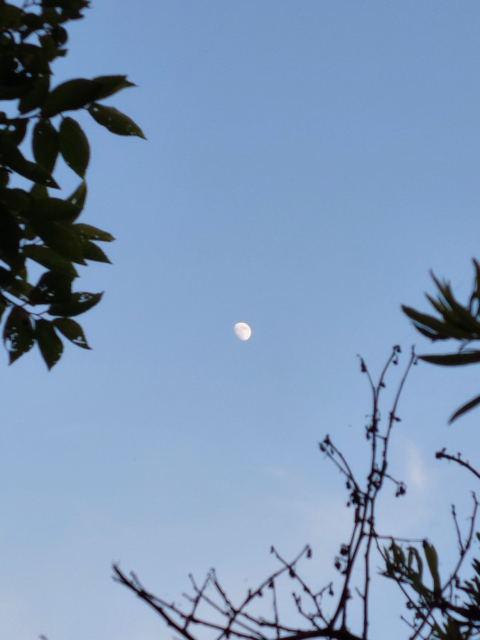 7/10　19時の空