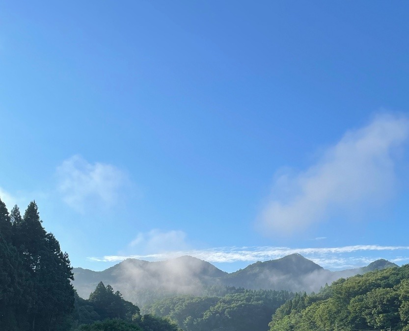 今朝の空✨