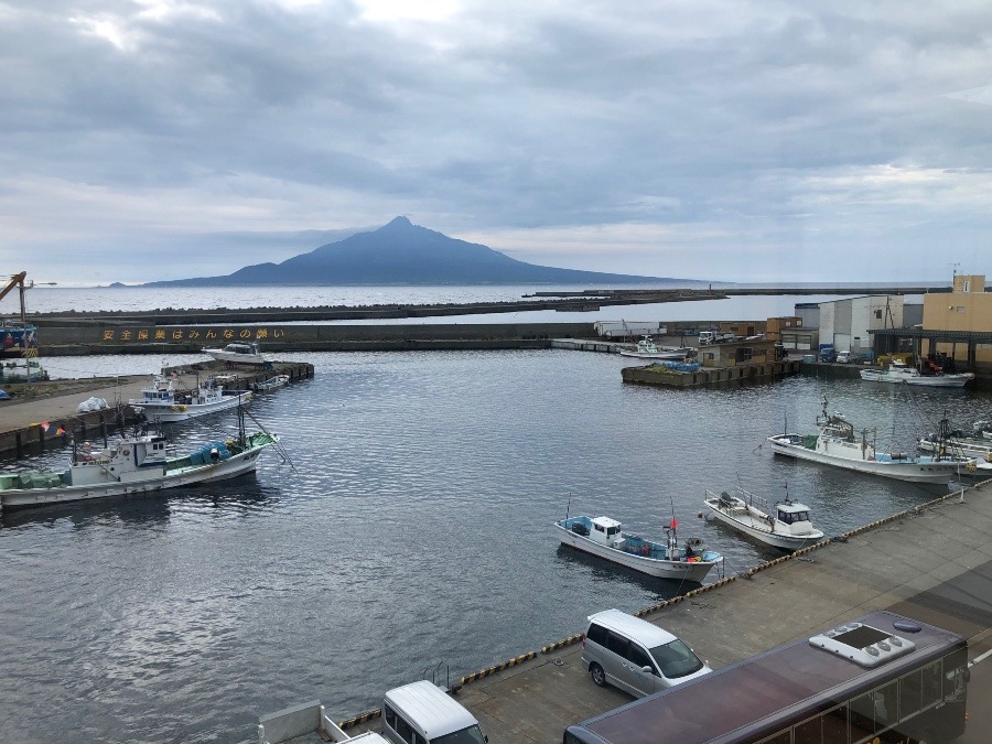 朝の礼文島から