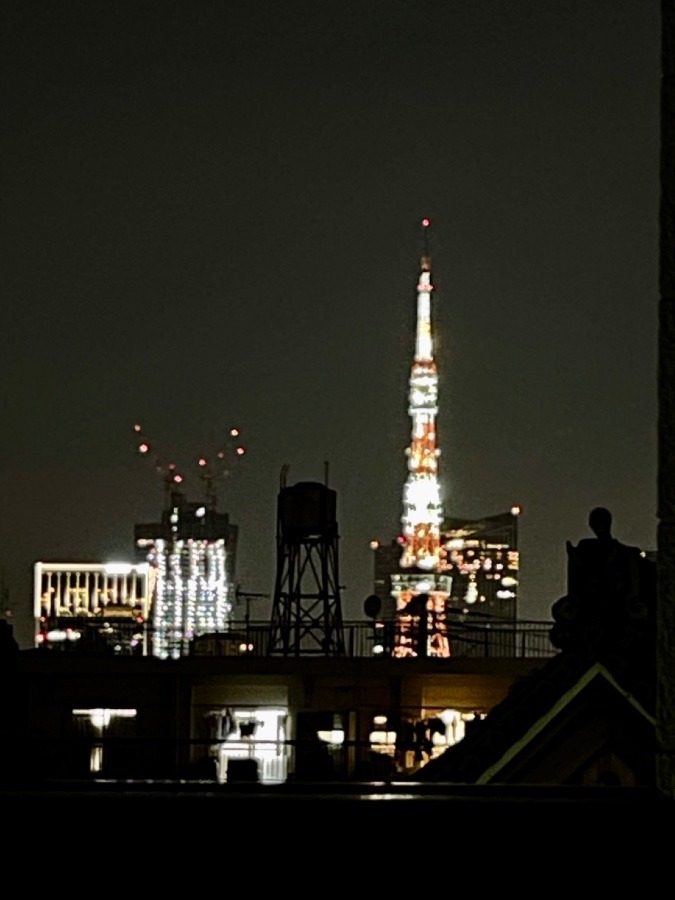 ✨夜の東京タワー