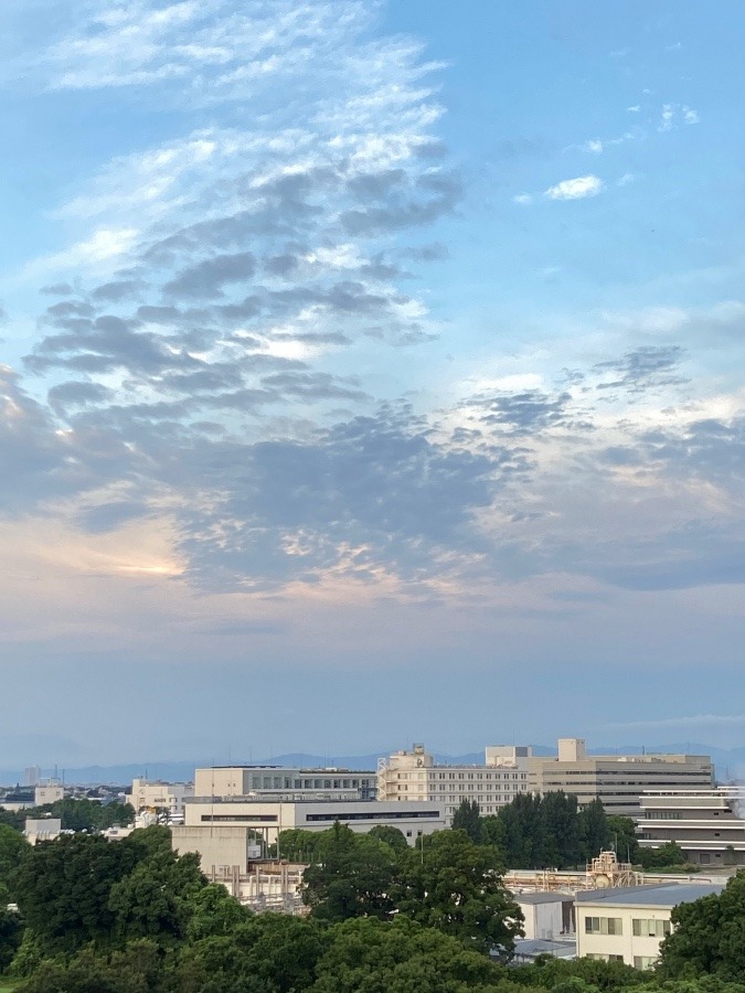 今朝の富士山