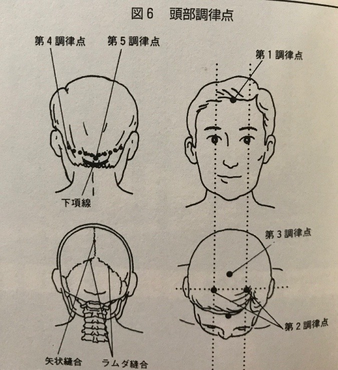 ✨頭の整体✨