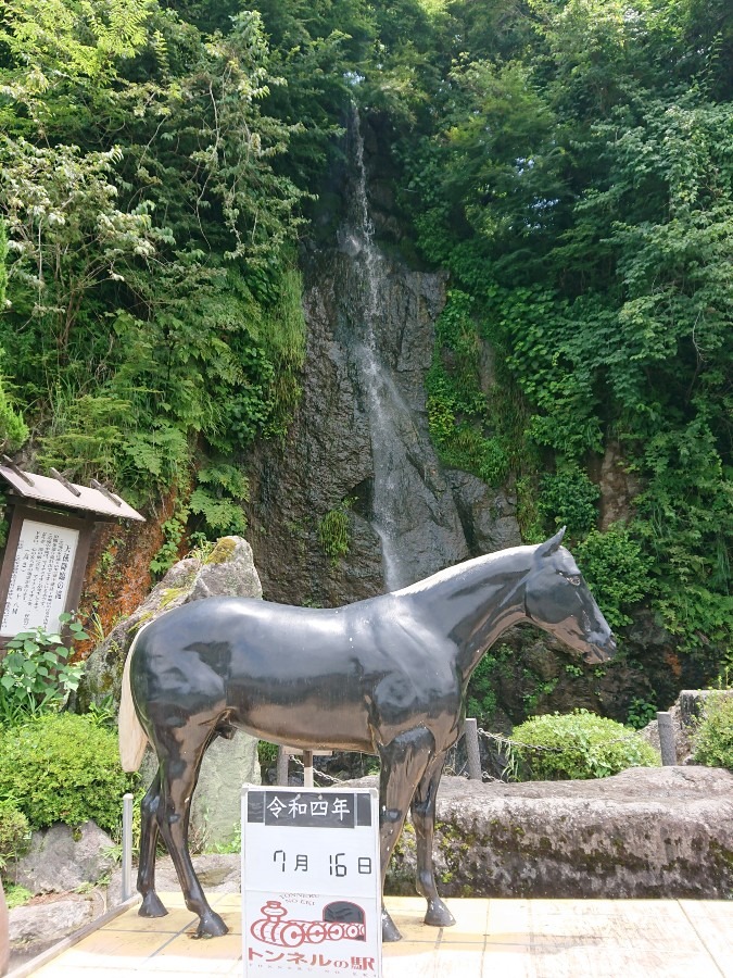 黒馬の打たせ湯⁉️