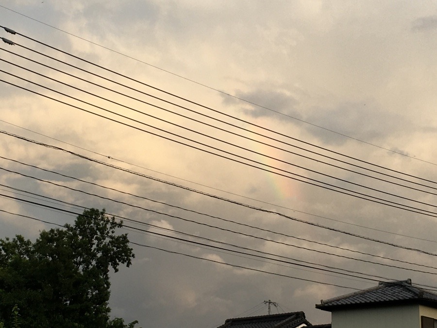 ⭕️ 虹🌈が…見たい‼️ (^O^)