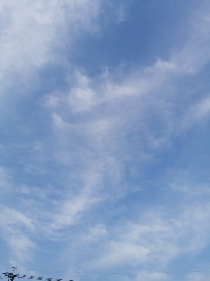 今日の空－8月29日