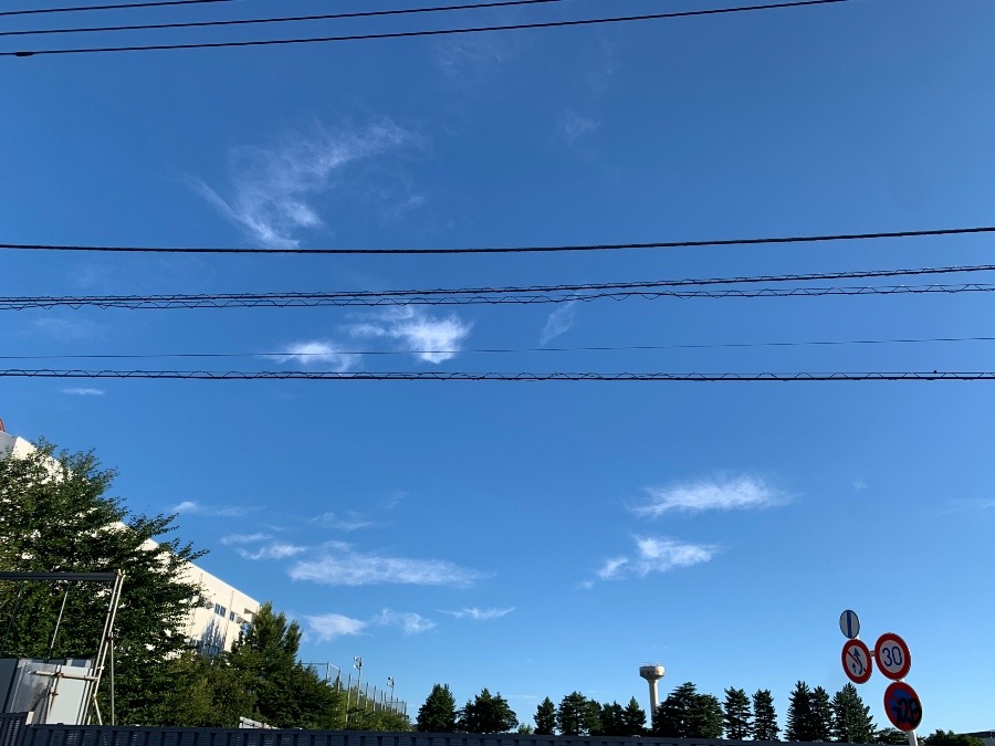 8/19今朝の空