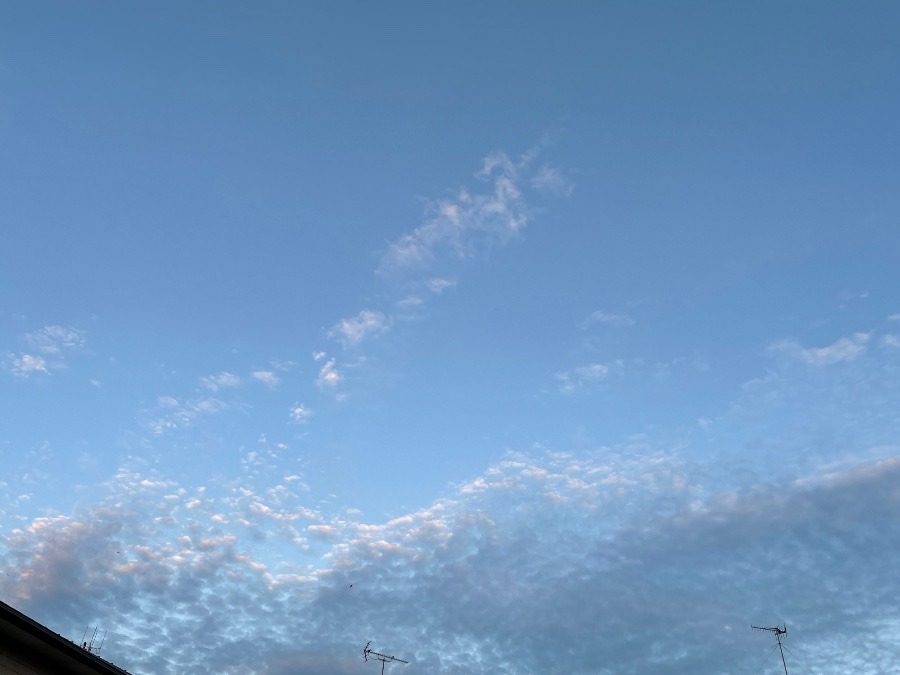 日の出時刻の西の空