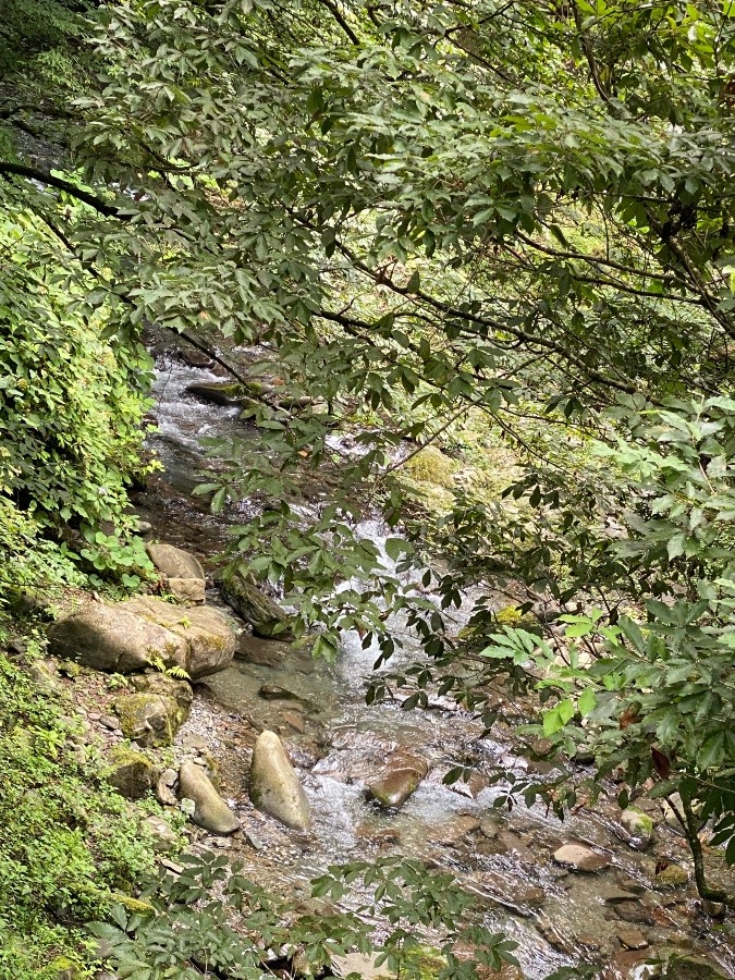 東京都の村の川