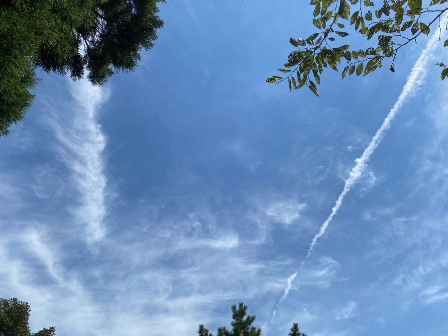 有名神社上空