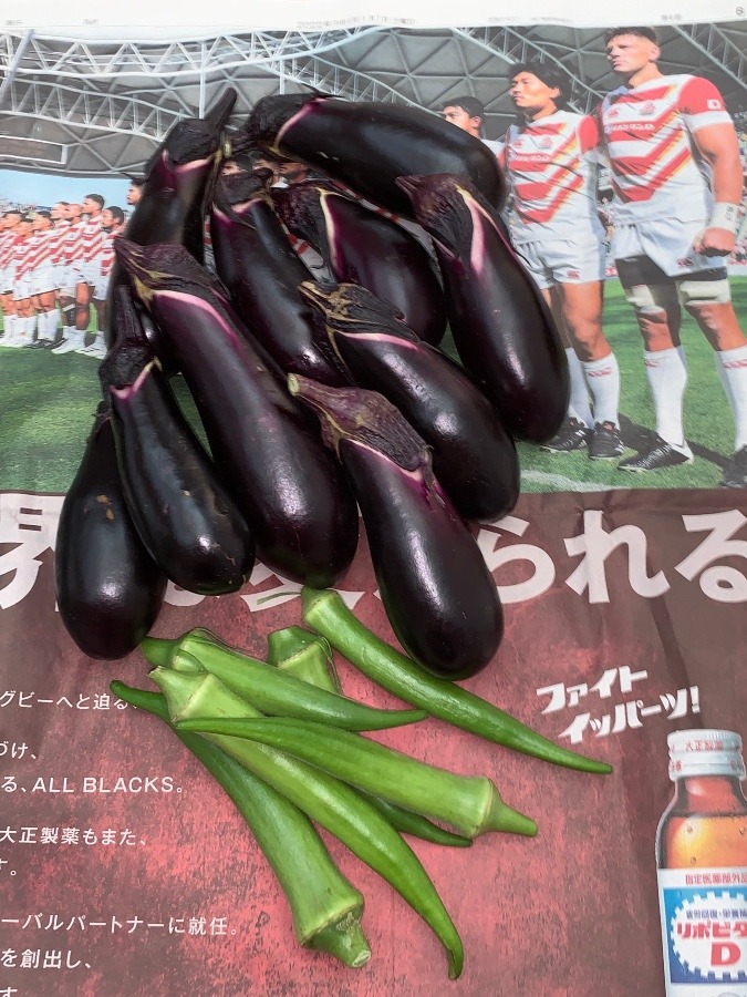 新鮮野菜 2