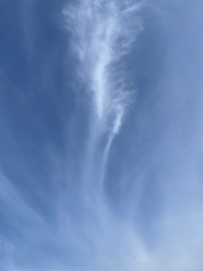 朝の空　8時半頃