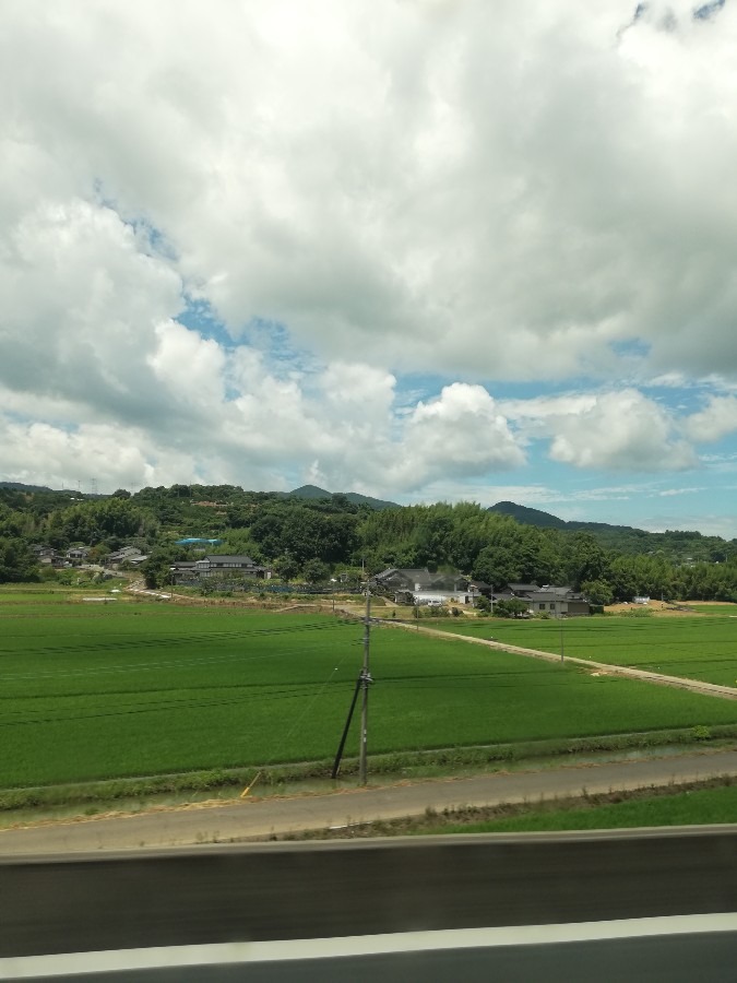 きれいな風景!!