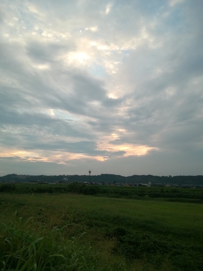 今朝の空