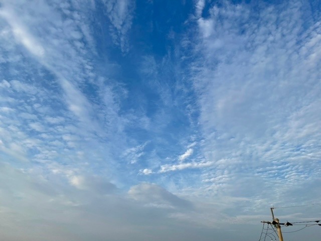 2022/08/24 朝の空