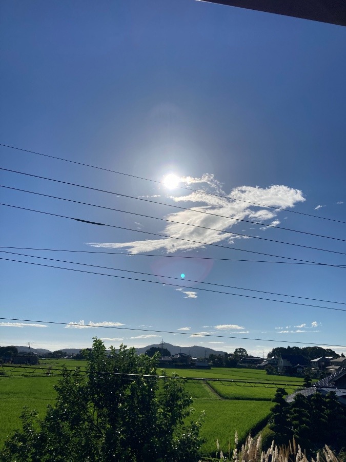 8月1日７時過ぎの空‼️