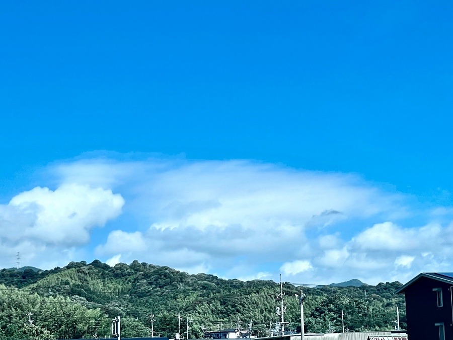 朝の空　8/1 10時頃