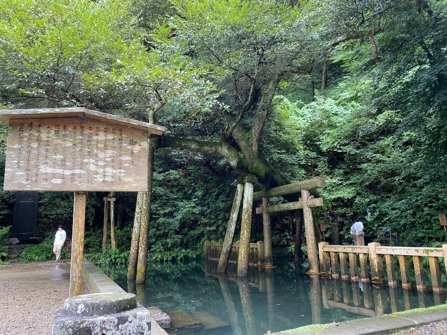 鹿島神宮⛩ 御手洗池