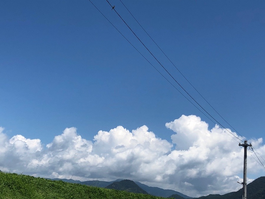 8/18  11時過ぎの空