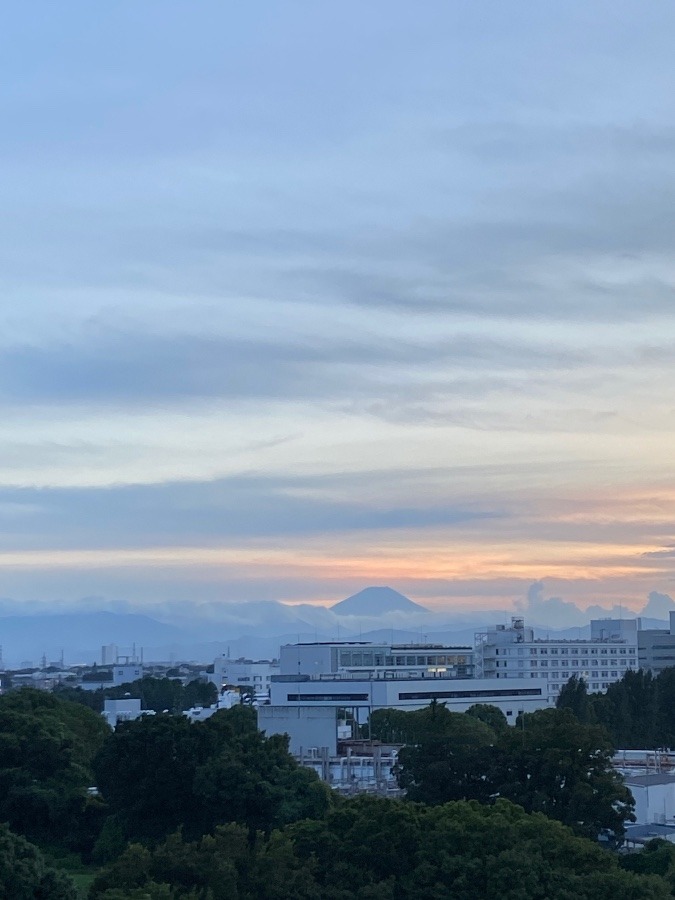 とにかく富士山