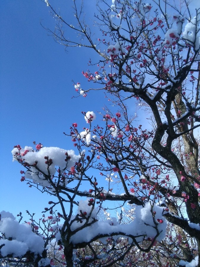 暑い夏にこんな景色はいかが