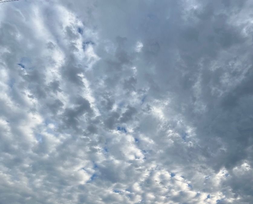 朝の空