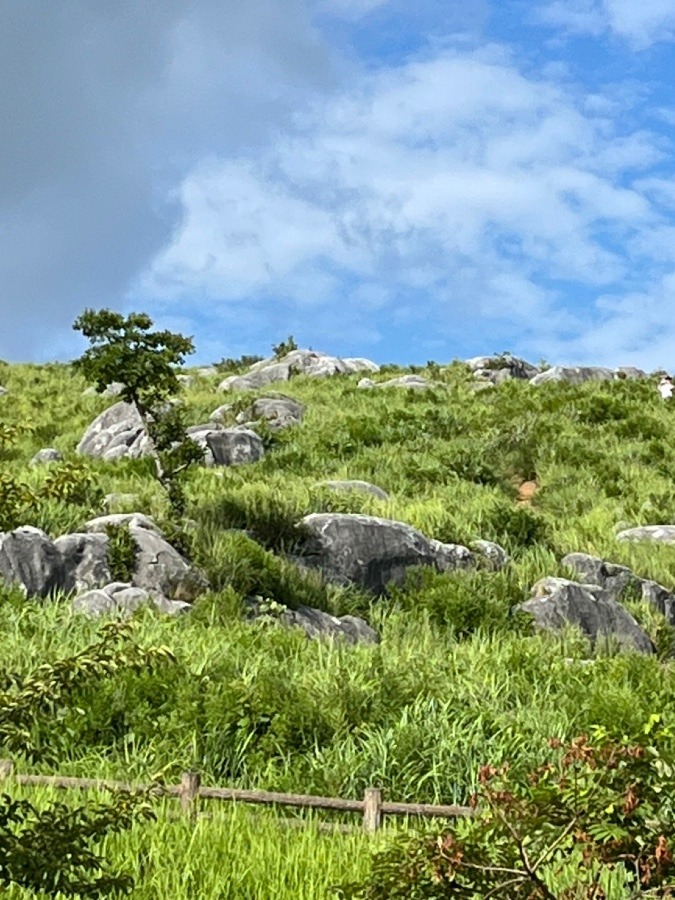 平尾台