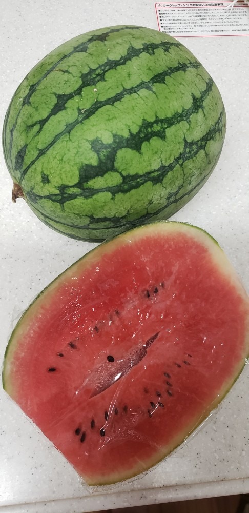 ラピちゃんちのスイカ🍉