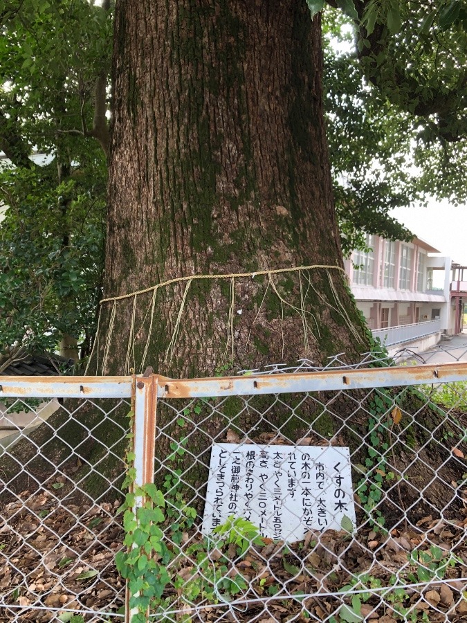 一ノ御前神社