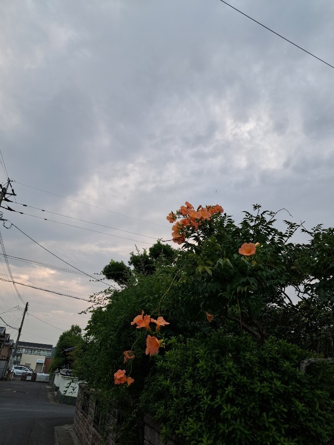 8/23　夕空