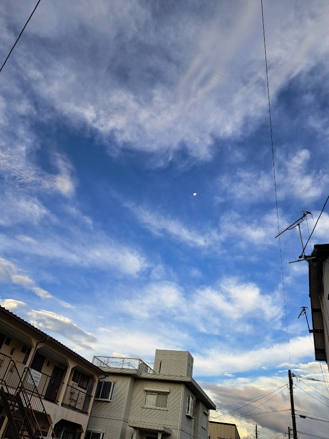 朝の散歩風景