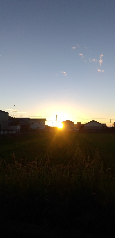 8/1  　　今朝の空