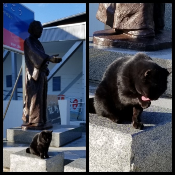 坂本龍馬と黒猫🐈‍⬛