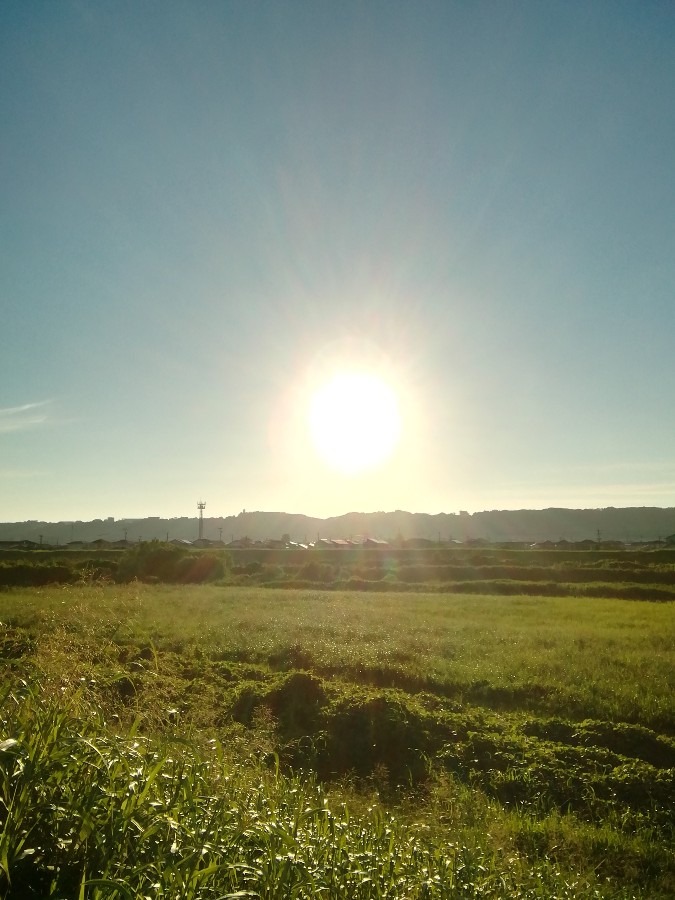 今朝の空