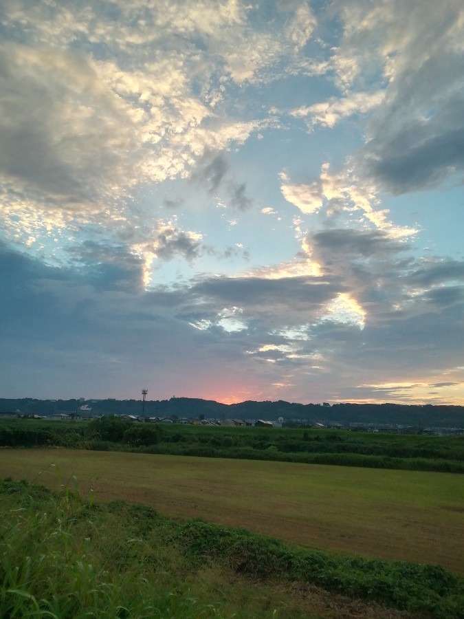 今朝の空