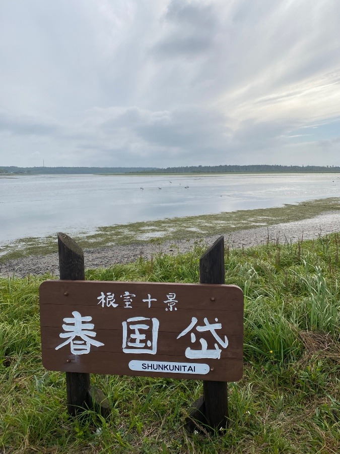 国内有数の野鳥の楽園