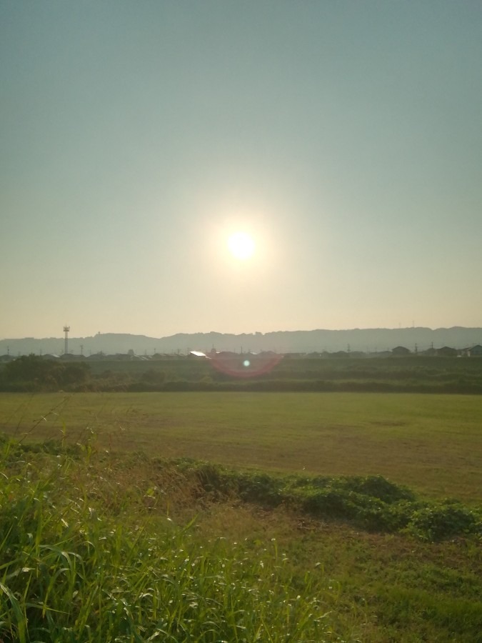 今朝の空