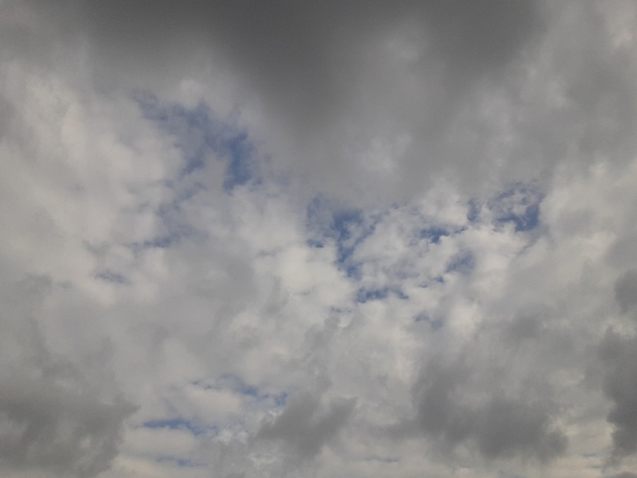 雲もくもく部❣️( ˶˙ᵕ˙˶ )🍀*゜