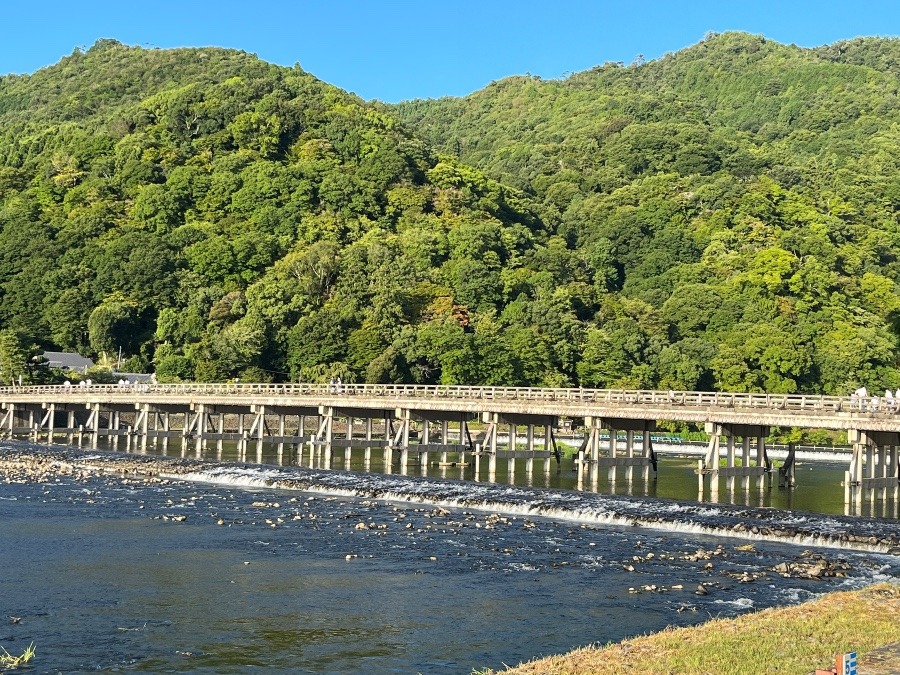 朝の渡月橋🌤