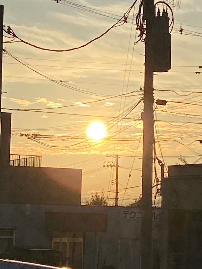 夕陽🌇🌇🌇