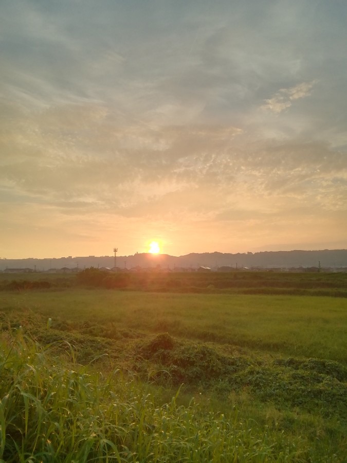 今朝の空