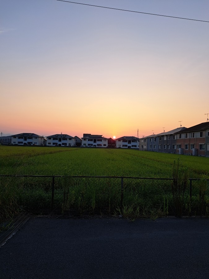 散歩の風景　おはよう☀️😃❗