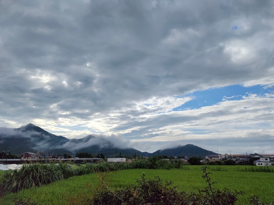 8/21　朝空