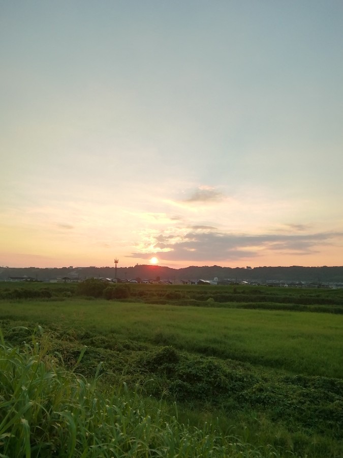 今朝の空