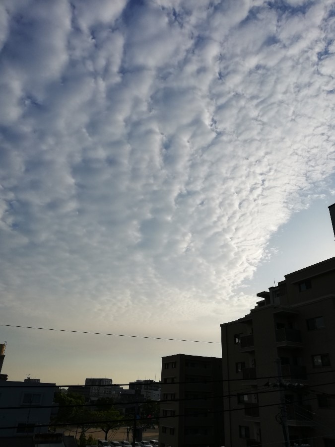 今日の空!