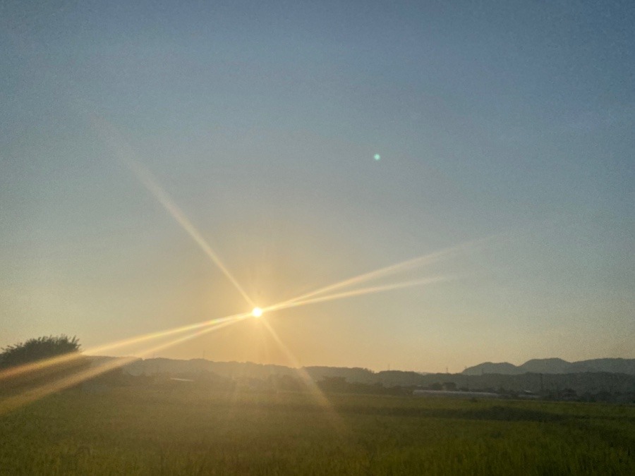 今朝の空　８／29