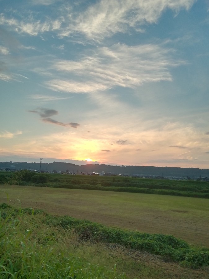 今朝の空