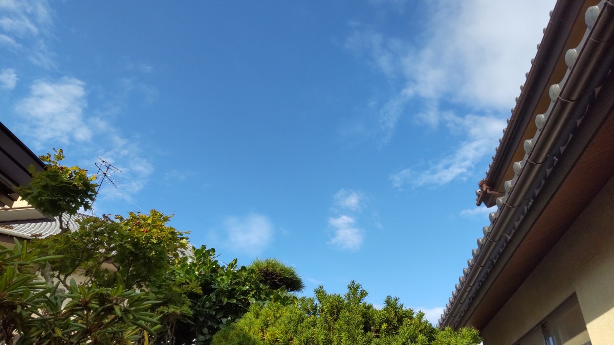 う～ん⁉️高い空❗️