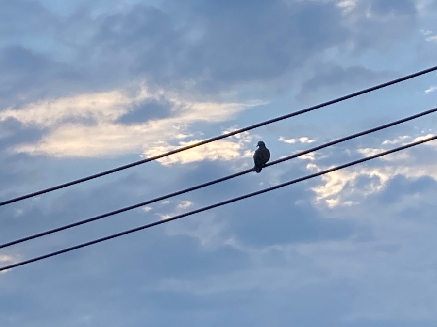 夕暮れ空を眺めながら…。