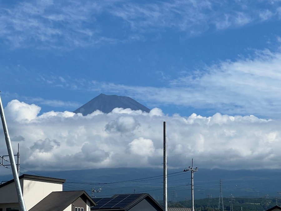 見えてます富士山