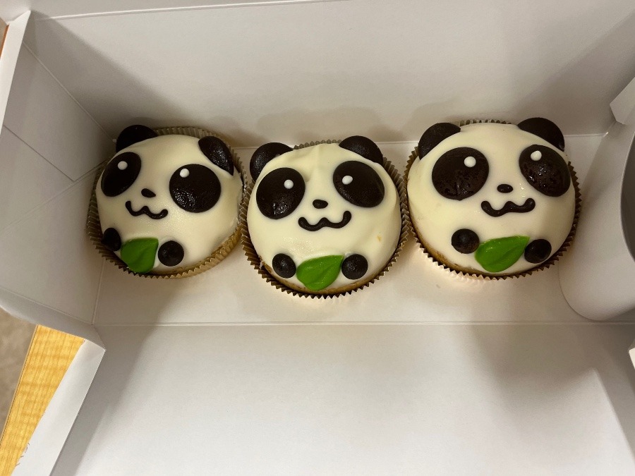 今日のパンダシュー🐼